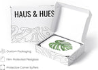 HAUS AND HUES Plant Wall Art - Image 4