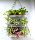 LaLaGreen Wall Hanging Planter by L%C3%A1L%C3%A1Green