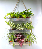 LaLaGreen Wall Hanging Planter by L%C3%A1L%C3%A1Green