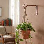 FEED GARDEN 2 Pack 10 Inch Hanging Plant Bracket Wall Hooks Decorative Plant - Image 2