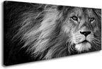 Baisuart Canvas Prints Wall Art Grey lion Stretched Canvas Wooden Framed by Baisuart