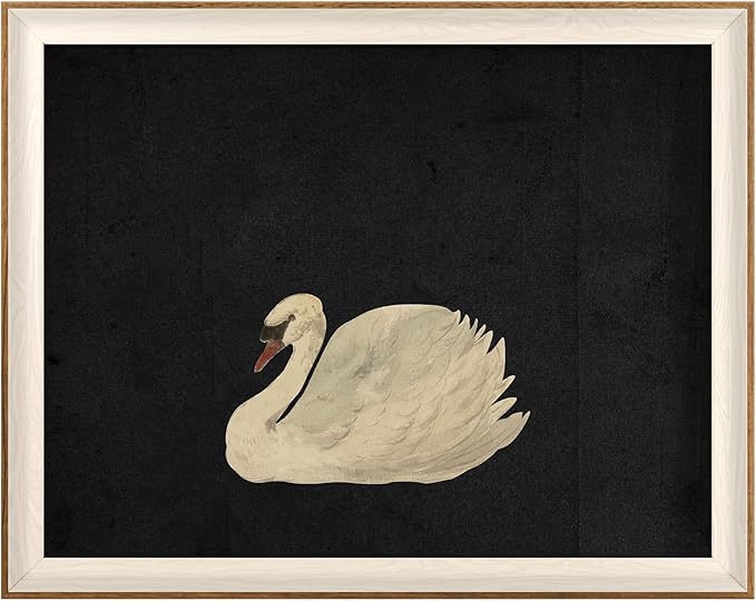 VIYYIEA Framed Wall Art for Living Room, Animal-【Zwaan】, 20L x 16W by VIYYIEAART