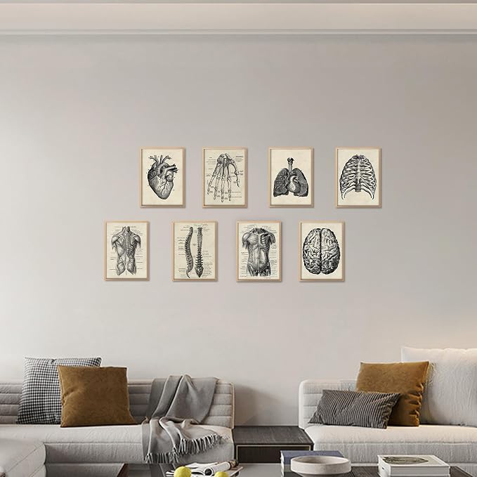 Ohhvvow Human Anatomy Artwork Medical Wall Art Canvas, 8 * 10 Inch Muscle - Image 8
