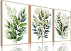 Bwodke Botanical Wall Art Plant Floral Watercolor Poster Canvas Prints Set of 3 by Bwodke