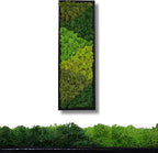yersiz Large Moss Pattern Wall Art, Real Moss Wall Art - Image 3