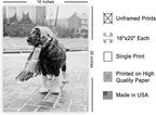 Poster Master Vintage Dog Dressed - Image 2