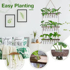 XXXFLOWER Wall Hanging Propagation Station - Image 3