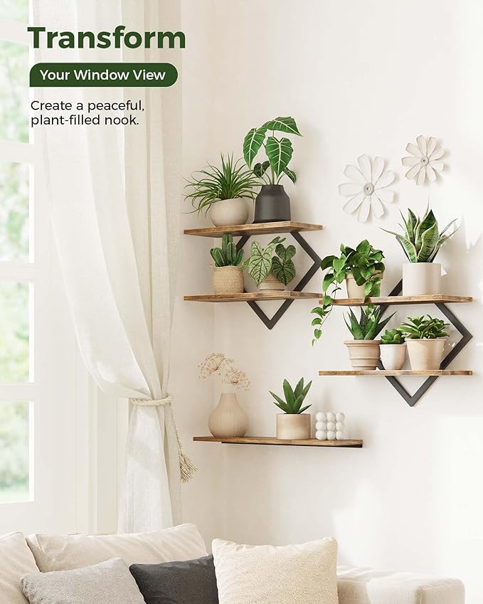Bamworld Floating Shelves for Wall Planters for Indoor Plants Hanging Shelves - Image 4