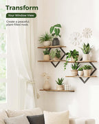 Bamworld Floating Shelves for Wall Planters for Indoor Plants Hanging Shelves - Image 4