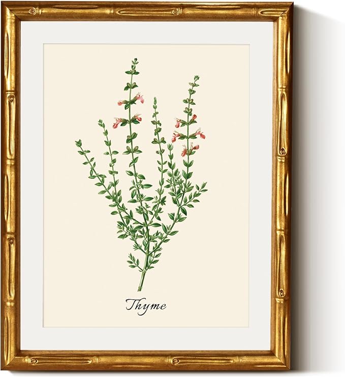 InSimSea Gold Bamboo Framed Canvas Wall Art, Vintage Watercolor Thyme Herbs by InSimSeaArt