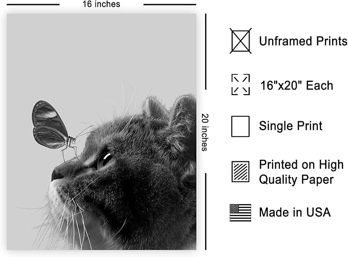 Poster Master Butterfly on Cat Poster - Image 2