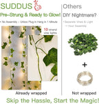 suddus Vines with Lights for Bedroom, 150 LED Fairy Lights with Vines, Ivy - Image 5