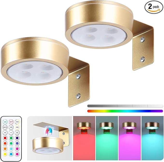2-Pack Picture Light Battery Operated Painting Lights, 13 Color RGB Magnetic by KELUOLY