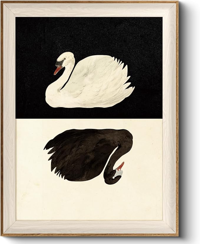 VIYYIEA Framed Wall Art for Living Room, Swan Canvas Prints, Vintage Home Decor by VIYYIEAART