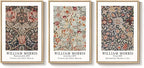 Framed Large William Morris Canvas Wall Art Set of 3, Vintage Floral Botanical - Image 9