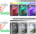 2Pcs Picture Lights for Wall, 13 Color RGB Magnetic Led Art Display Light for - Image 6