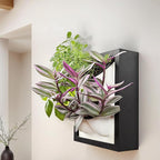 Wall Garden 4 Vertical Wall Planter, 4 Pots Wood Frame Self Watering Living by AwesomePlant