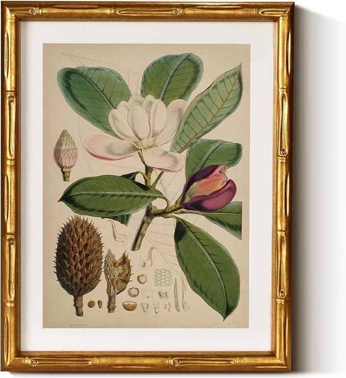 InSimSea Gold Bamboo Framed Canvas Wall Art, Retro Nature Magnolia Botanical by InSimSeaArt