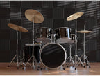 JBER 12 Pack Acoustic Foam Panels, High Desnsity Studio Soundproofing Wedges - Image 2