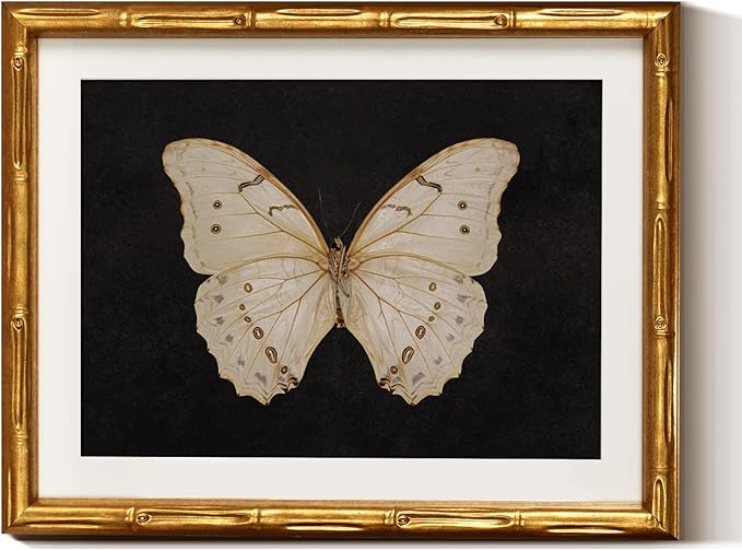 InSimSea Gold Bamboo Framed Canvas Wall Art, Retro White Butterfly Animal by InSimSeaArt