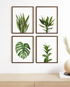 HAUS AND HUES Plant Photo Set of 4-16x20 Framed Walnut - Image 5