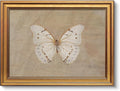 VIYYIEA Vintage Gold Framed Wall Art by VIYYIEAART
