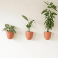 Make Good PlantPod Luxe Self-Watering Wall Planters by MakeGood