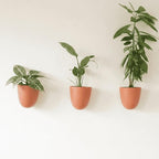 Make Good PlantPod Luxe Self-Watering Wall Planters by MakeGood
