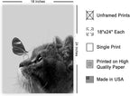 Poster Master Butterfly on Cat Print - Image 2
