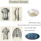 Ohhvvow Human Anatomy Artwork Medical Wall Art Canvas, 8 * 10 Inch Muscle - Image 2