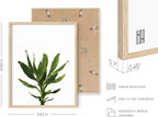 HAUS AND HUES Plant Wall Art - Image 3