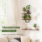 Bamworld Wall Planters for Indoor Plants Window Plant Shelves Vertical Plant - Image 4