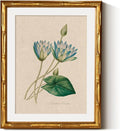 InSimSea Gold Bamboo Framed Canvas Wall Art, Retro Blue Lotus Botanical Prints by InSimSeaArt