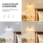 Shenmoyl Vintage Wall Sconces Set of 2 - Image 5