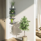 Alsonerbay Wall Mount Corner Shelves 4 Tier Floating Corner Storage Wood - Image 8