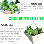 LaLaGreen Wall Planters for Indoor Plants - Image 5