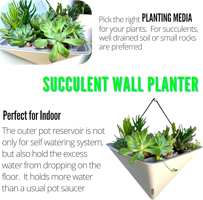 LaLaGreen Wall Planters for Indoor Plants - Image 5