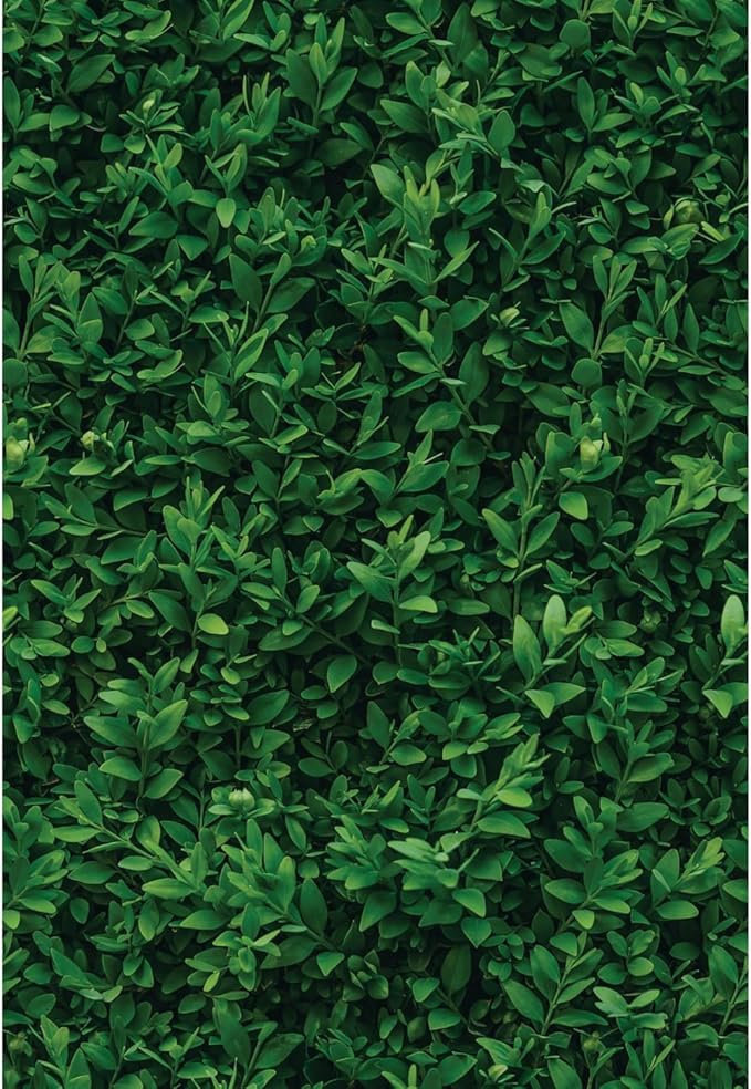 Main Street Peel and Stick Wallpaper Eco-Friendly Sheets 12 Pack, 11 X 16 Inch by MainStreet