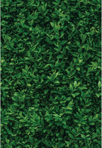 Main Street Peel and Stick Wallpaper Eco-Friendly Sheets 12 Pack, 11 X 16 Inch by MainStreet