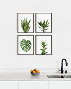 HAUS AND HUES Plant Wall Art - Image 5