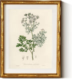 InSimSea Gold Bamboo Framed Canvas Wall Art, Plants Fern Botanical Paintings by InSimSeaArt
