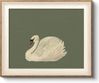 VIYYIEA Framed Wall Art for Living Room, Swan Canvas Prints, Animals Painting by VIYYIEAART