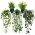 5 Pack Fake Plants for Wall Home Room Office, Artificial Hanging Plants by Unknown