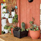 3 Pack Self Watering Wall Hanging Planter Pots Vertical Garden Window Hang - Image 4