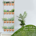 FillTouch 4 Tiered Window Plant Shelves Hanging Herb Planter Indoor Display - Image 6