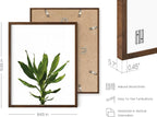 HAUS AND HUES Plant Wall Art - Image 3