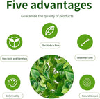Fake Hanging Plants Vinesfor Room Decor, Artificial Ivy Greenery Garlands - Image 4