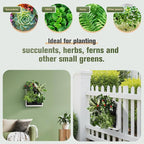 Wall-Mounted Vertical Garden Planter – Ready-to-Use Indoor Wall Planter - Image 3