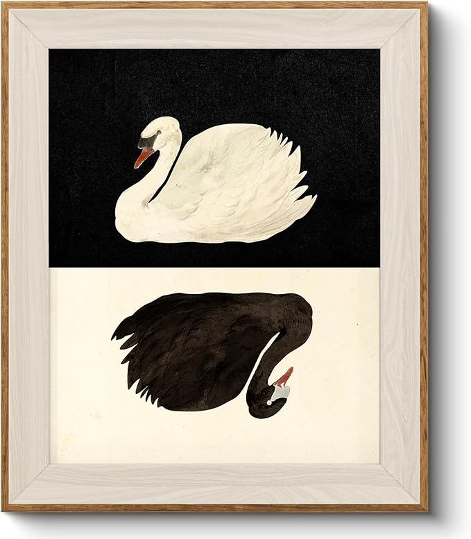 VIYYIEA Framed Wall Art for Living Room, Swan Canvas Prints, Vintage Home Decor by VIYYIEAART
