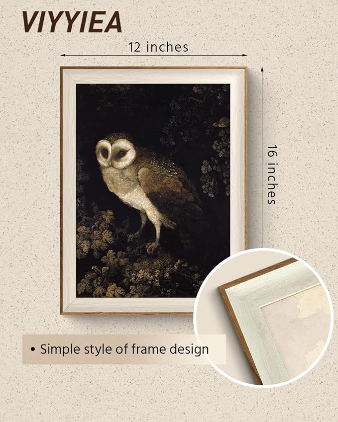VIYYIEA Framed Wall Art for Living Room, Owl Canvas Prints, Vintage Home Decor - Image 4